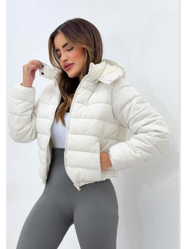 image_77d01346-e471-4963-973c-3c74c14f2394